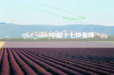贵州中国十七块金牌