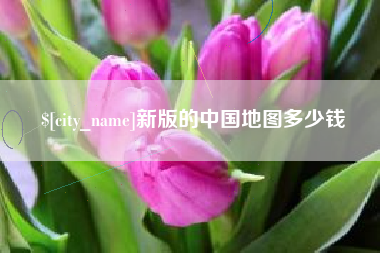 贵州新版的中国地图多少钱