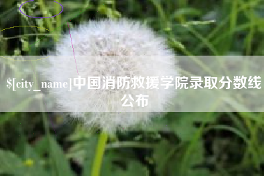 贵州中国消防救援学院录取分数线公布
