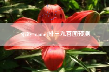 贵州排三九宫图预测