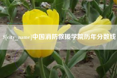 贵州中国消防救援学院历年分数线