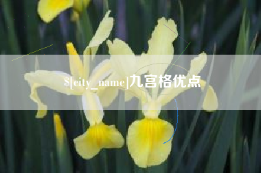 贵州九宫格优点