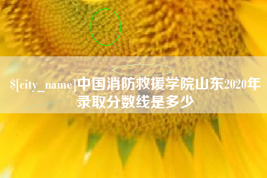 贵州中国消防救援学院山东2020年录取分数线是多少