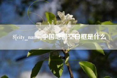 贵州中国地图空白框是什么