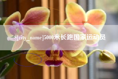 贵州5000米长跑国家运动员