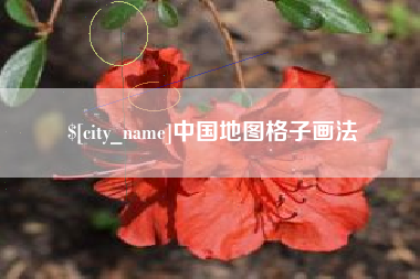 贵州中国地图格子画法