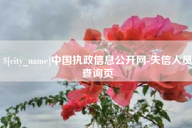 贵州中国执政信息公开网-失信人员查询页