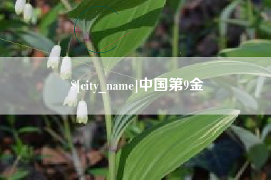 贵州中国第9金