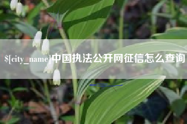 贵州中国执法公开网征信怎么查询