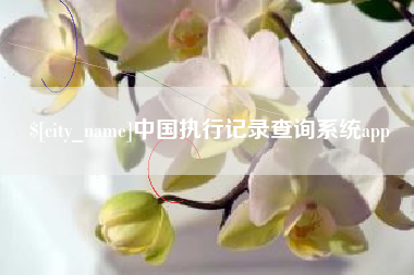 贵州中国执行记录查询系统app