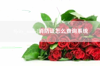 贵州消防证怎么查询系统