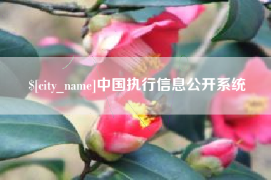 贵州中国执行信息公开系统
