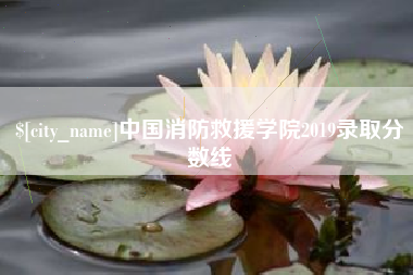 贵州中国消防救援学院2019录取分数线