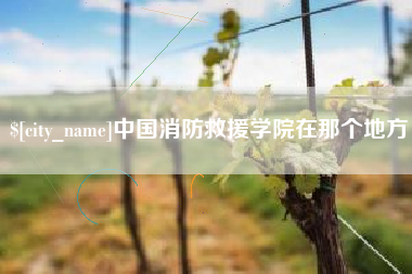 贵州中国消防救援学院在那个地方
