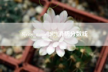 贵州2021消防分数线