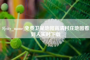 贵州免费卫星地图高清村庄地图看到人实时下载