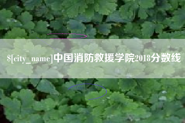 贵州中国消防救援学院2018分数线
