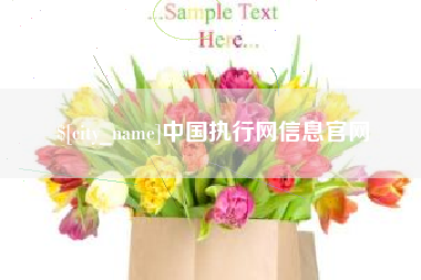 贵州中国执行网信息官网