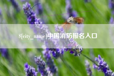 贵州中国消防报名入口