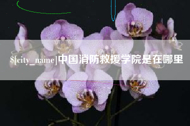 贵州中国消防救援学院是在哪里