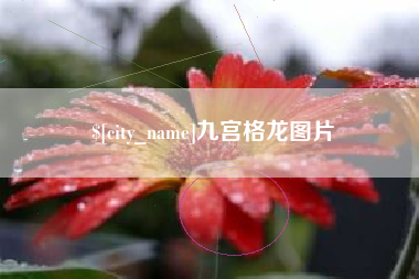 贵州九宫格龙图片