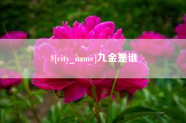 贵州九金是谁