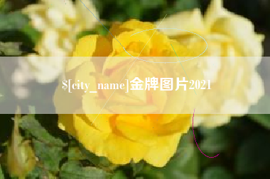 贵州金牌图片2021