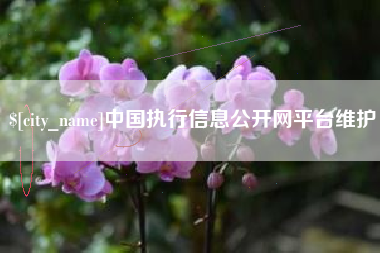 贵州中国执行信息公开网平台维护