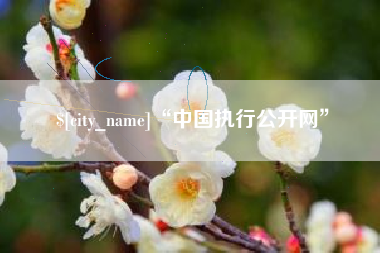 贵州“中国执行公开网”