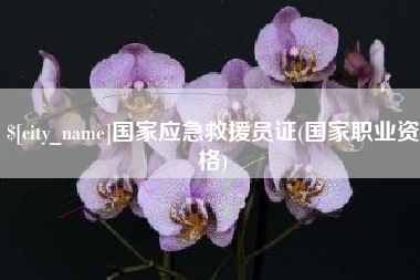 贵州国家应急救援员证(国家职业资格)