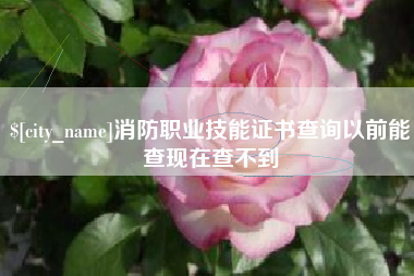 贵州消防职业技能证书查询以前能查现在查不到