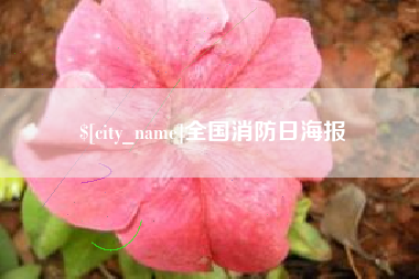 贵州全国消防日海报