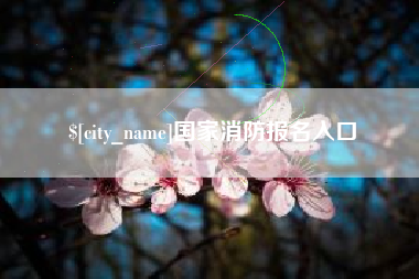 贵州国家消防报名入口