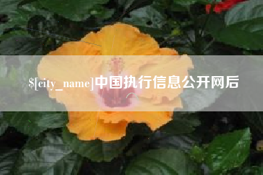 贵州中国执行信息公开网后
