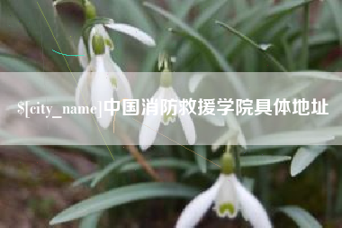 贵州中国消防救援学院具体地址