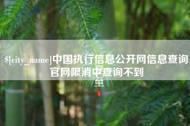 贵州中国执行信息公开网信息查询官网限消中查询不到