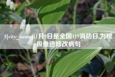 贵州11月9日是全国119消防日,为积极推进修改病句