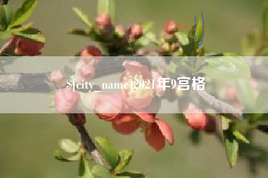 贵州2021年9宫格