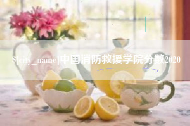 贵州中国消防救援学院分数2020