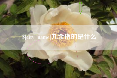 贵州九金指的是什么