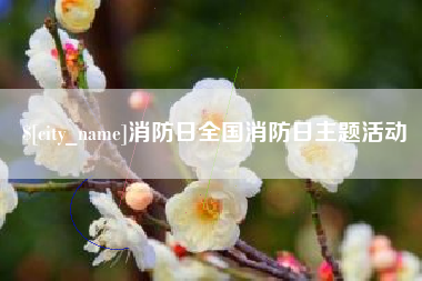 贵州消防日全国消防日主题活动
