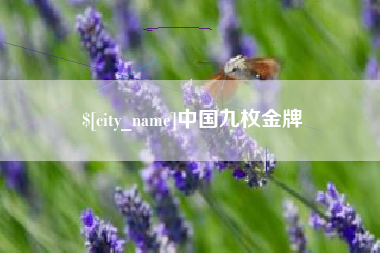 贵州中国九枚金牌
