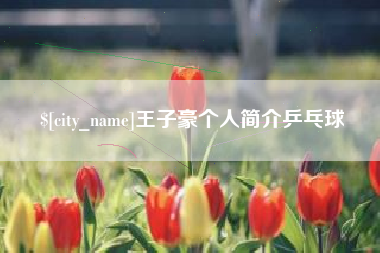 贵州王子豪个人简介乒乓球