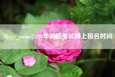 贵州2020年消防考试网上报名时间