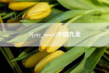贵州中国九金