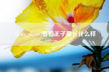 贵州看看王子豪长什么样