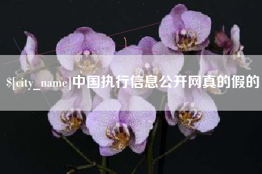 贵州中国执行信息公开网真的假的