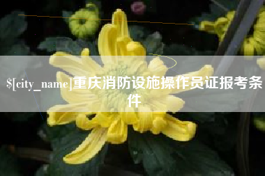 贵州重庆消防设施操作员证报考条件