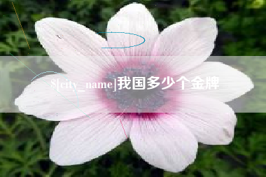 贵州我国多少个金牌