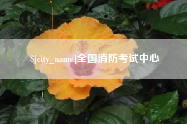 贵州全国消防考试中心